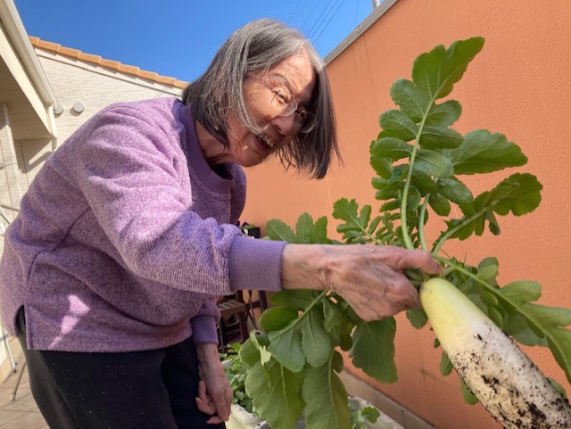 家庭菜園