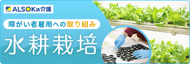 ＡＬＳＯＫ介護の障がい者雇用 水耕栽培